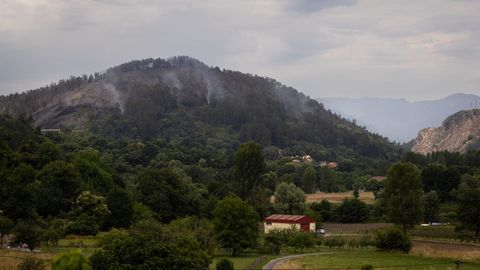 Columnas de humo del incendio forestal de Grado, Asturias
