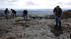 Hace dos semanas, vecinos y ecologistas realizaron una jornada de recuperaci�n en la Serra do Larouco