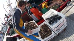Fotograf�a de archivo de varios mariscadores en Rianxo