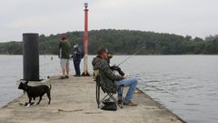 Pescadores recreativos en el puerto de Carril, a finales de junio