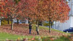 Oto�o en el parque de Vio�o 