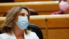 La ministra para la Transici�n Ecol�gica, Teresa Ribera