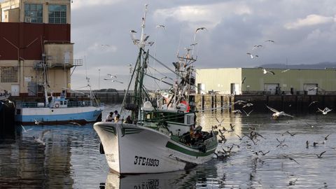 Puerto de Burela