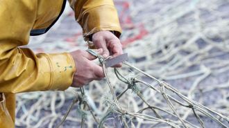 Un marinero cortando redes de un aparejo de pesca en un puerto gallego