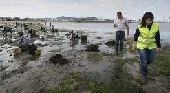 Los t�cnicos tomaron muestras en medio de la actividad de las mariscadoras. 