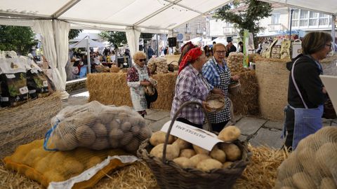 Festa da Pataca en Vilar de Barrio.