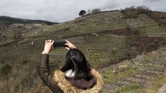 Una turista hace fotos en las vi�as de Portiz�, en una fotograf�a de hace dos semanas