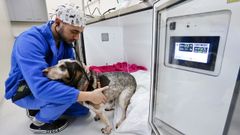 Zona de hospitalizacin de pequeos animales del Hospital Veterinario Rof Codina de Lugo