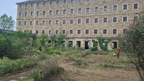 Trabajos previos para la adjudicaci�n de la redacci�n del proyecto de la nueva Facultad de Enfermer�a de Gij�n