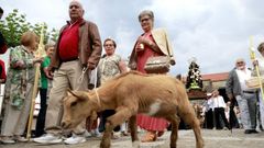 Un momento de la procesi�n de San Benito en Cambados