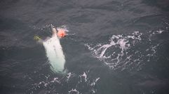 La embarcaci�n, hundida, al sur de las C�es