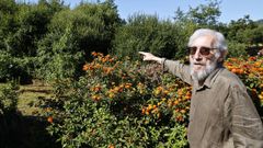 El escultor Pedro Dobao muestra la finca sin limpiar de su vecino, en su casa de Valadares