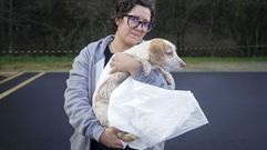 Beatriz M�guez recogi� este lunes a un perro que fue atropellado 