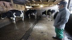 Eliseo Cebreiro, con varias vacas infectadas en su explotaci�n de la parroquia de Bardaos.