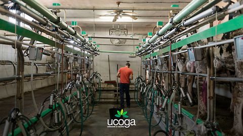 Estos imprevistos no solo generan p�rdidas materiales: ponen en riesgo el bienestar animal, la eficiencia de la granja y la estabilidad de toda una familia