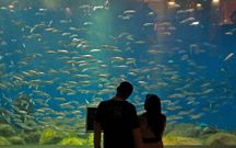 El Acuario es uno de los museos m�s visitados. 