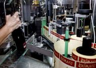 Proceso de embotellado en una bodega de la Ribeira Sacra en una fotograf�a de archivo. 