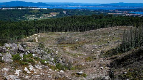 As est el monte de Barbanza un ao despus del gran incendio