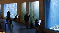 Visitantes en la sala Maremagnum del Aquarium Finisterrae