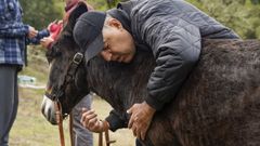 Terapia con burros para personas con discapacidad intelectual en Allariz