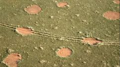 C�rculos de Hadas en Namibia