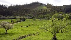 Vista de la parroquia de Couzadoiro