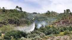 Incendio forestal del pasado d�a 13 de julio junto a las v�as del tren en Amoeiro.