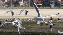 Utilizar e conservar os oc�anos, mares e recursos mari�os � un dos obxectivos de desenvolvemento sostible