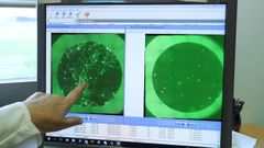 C�lula infectada por el coronavirus