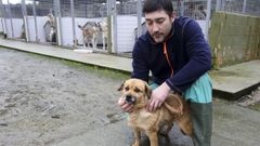 Un a�o con menos abandonos y m�s adopciones en el refugio de Moug�