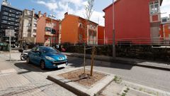 La plantaci�n de �rboles en calles de la ciudad de Pontevedra incluye varias especies