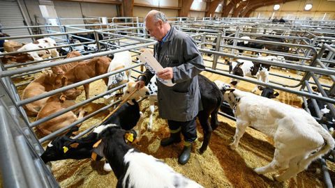 Animales de recr�a en la Central Agropecuaria de Galicia, en Silleda