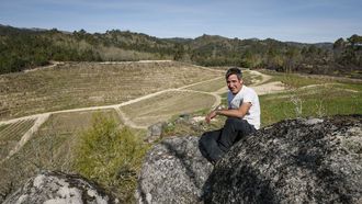 Jos� Pereiro ante el �anfiteatro� que conforman sus cinco hect�reas de vi�edo, de diferentes variedades tintas