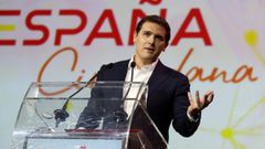 Ciudadanos crea una plataforma civil para defender la unidad de Espa�a