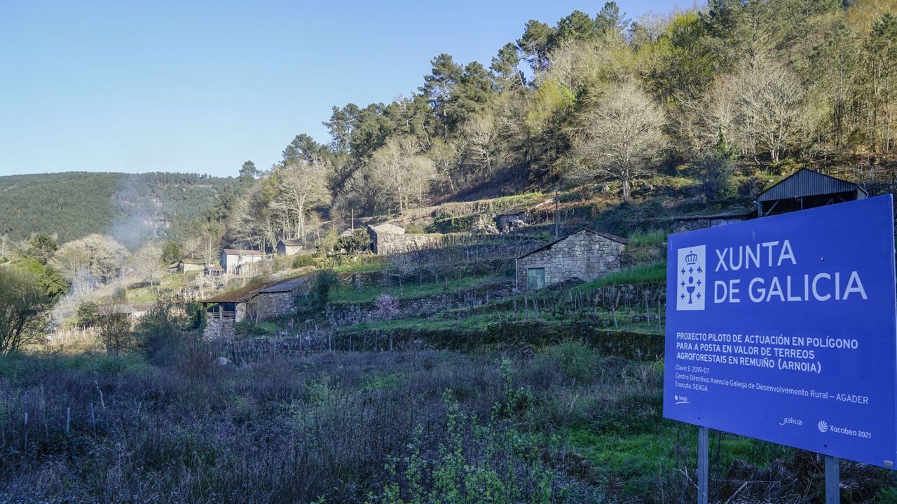 NOPUBLICAR NO PUBLICAR Reconfigurar el mapa de usos agroforestales para salvar el rural: la asignatura pendiente de la ordenación territorial