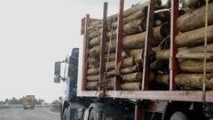 Camiones de madera, en imagen de archivo