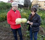 <span lang= es-es >Cada vez m�s alimentos</span>. Vecinos de Valadares intercambian productos de la huerta, lo que evita que se les estropeen cuando hay exceso producci�n y, de paso, se ayudan. <span lang= es-es >fotos:</span><span lang= es-es > </span><span lang= es-es > </span>