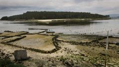 La isla vilagarciana recibi� algo m�s de diez mil visitantes el pasado a�o