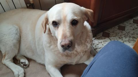 Otto antes de ser disparado