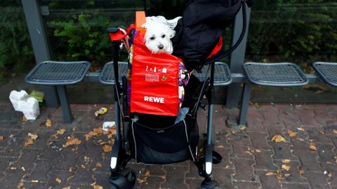 Evacuaci�n masiva en Fr�ncfort