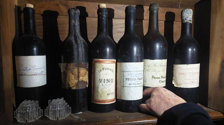 Botellas de tostados de finales del XIX, entre otros vinos de parcela, conservadas en un pazo