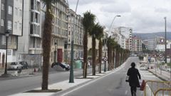 �rboles plantados en la mediana de la avenida de As Carolinas