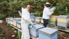 Marmel, nueva marca de miel de A Mari�a que ha nacido este a�o, con Ra�l Fraga y Marcos Reimunde