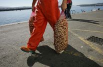 La extracci�n del rel� estaba prohibida desde 2008, cuando se detect� que acumulaba plomo. 
