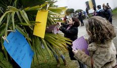 La concentraci�n M�is Violeta ya tuvo lugar en a�os previos.