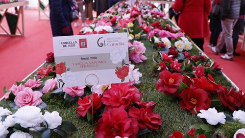 La Porta do Sol acogi� las carpas donde se celebr� el evento