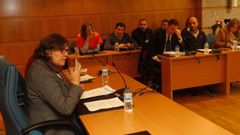 La alcaldesa de O Porri�o reconoce que minti�