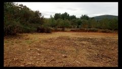 Un terreno reci�n desbrozado en la localidad de Burdalla, en la parroquia de Anllo Santo Estevo