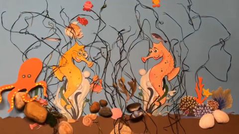 Vdeo didctico elaborado por el Ceida