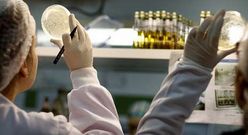 Trabajadores en el actual laboratorio de Mouriscade analizando muestras.